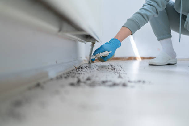 Best Pest Control Near Me in Compton, CA
